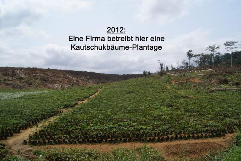 bild096.jpg --- erstellt mit  - www.abbe-felix.de